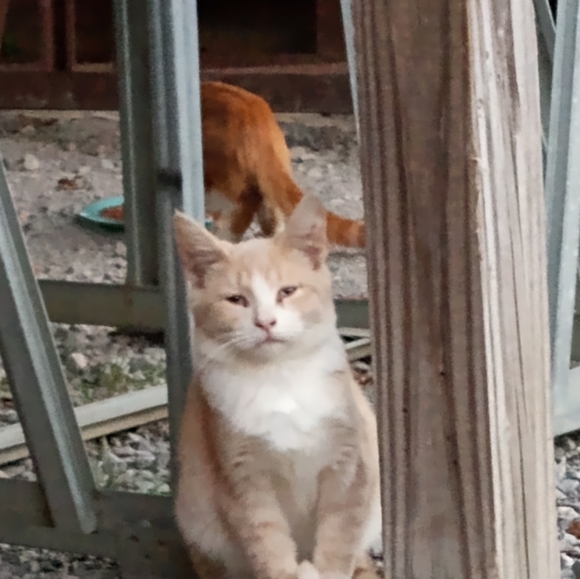 Meet your Posher, Michelle - Picture 14 of 16